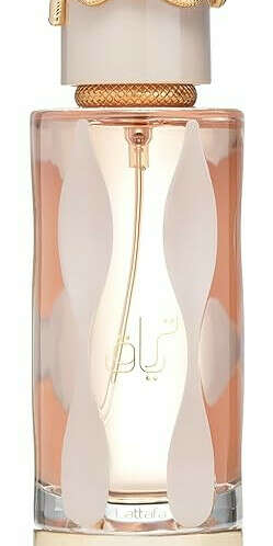 Lattafa Teriaq Eau de Parfum 100 ml : Amazon.de: Beauty