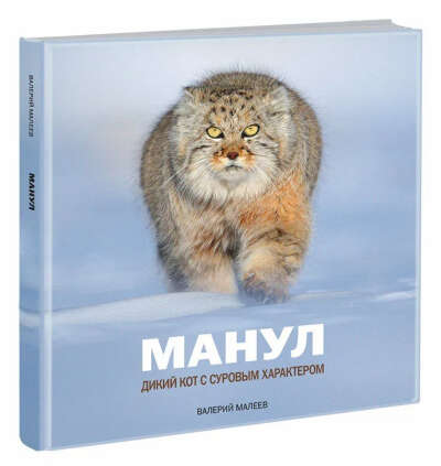 Книга про Манулов