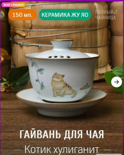 гайвань с котиком