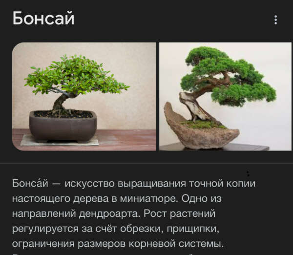 Бонсай