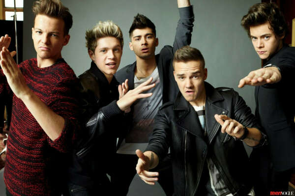 хочу на концерт One Direction