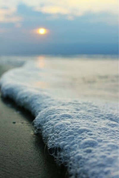 Sea