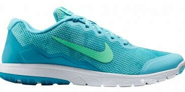 Кроссовки Nike Wmns Flex Experience Rn 4 Prem 749177-400 39,5 (9) 26 см