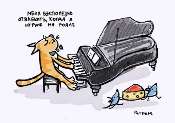 Быть сосредоточенной и целеустремленной