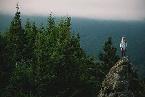 в горы