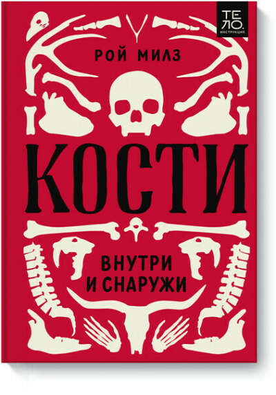 Кости: внутри и снаружи
