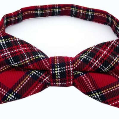 Галстуки-бабочки от cocco bello bow ties