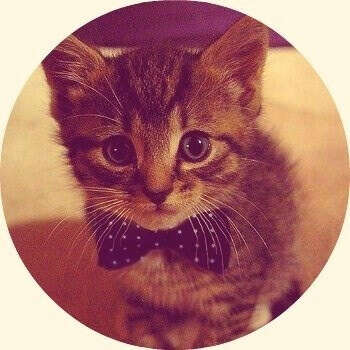 Котенок