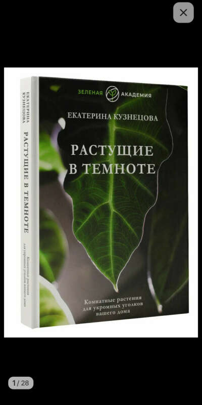 Растущие в темноте. Комнатные растения для укромных уголков