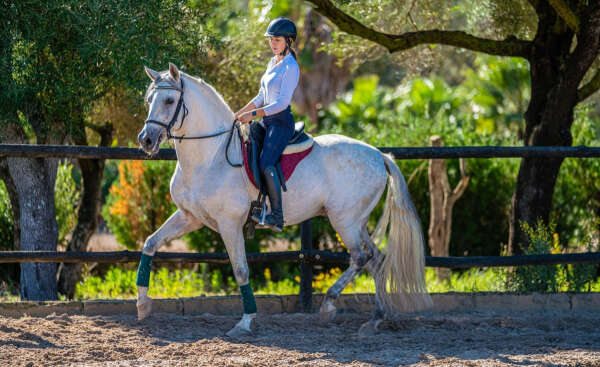 Showjumping Mix Program in Mallorca