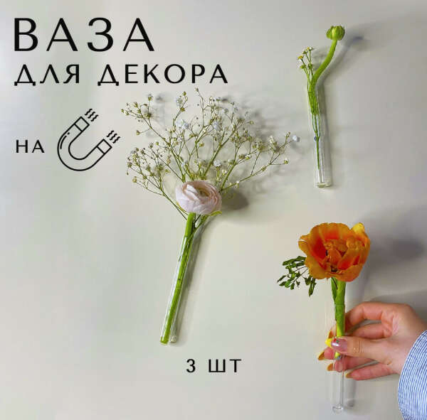 Ваза пробирки на магнитах