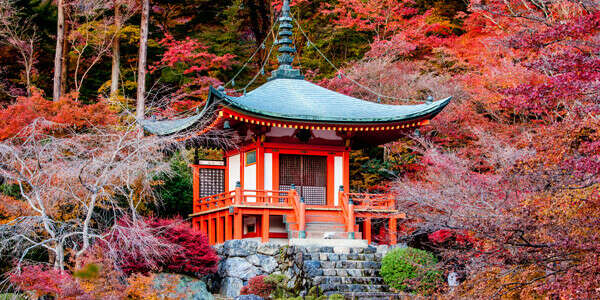 Travel to Japan