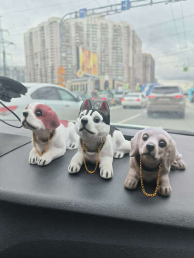 Шабака в машину