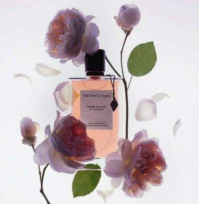 Van Cleef & Arpels Rose Rouge