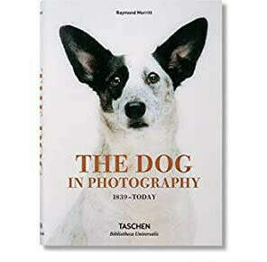 The Dog in Photography