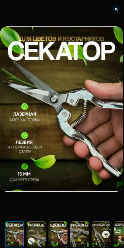 секатор