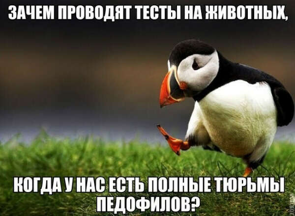 чтобы животных не убивали ради экспериментов