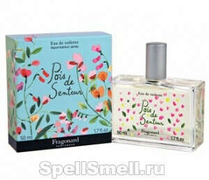 Fragonard - Pois de Senteur