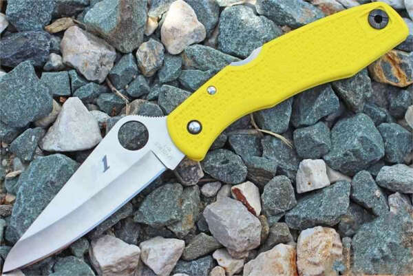 Spyderco Pacific Salt