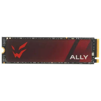 1024 ГБ SSD M.2 накопитель ARDOR GAMING Ally AL1288
