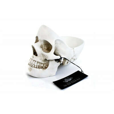 Органайзер для мелочей Skull