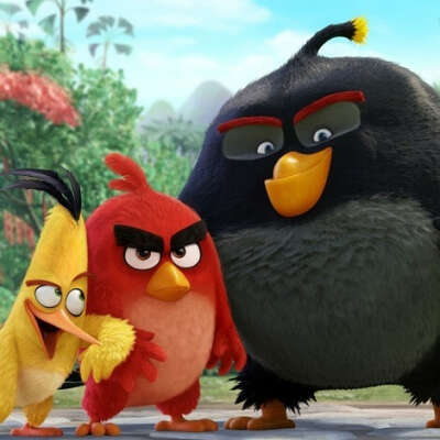 Angry Birds 2016