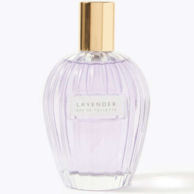 Lavender Eau De Toilette 100ml | Floral Collection | M&S
