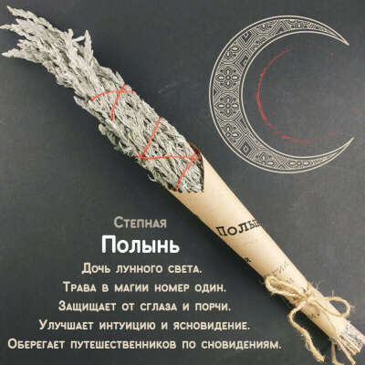 Полынь степная