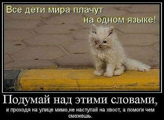 Чтобы все, кто обижает животных - СДОХЛИ!