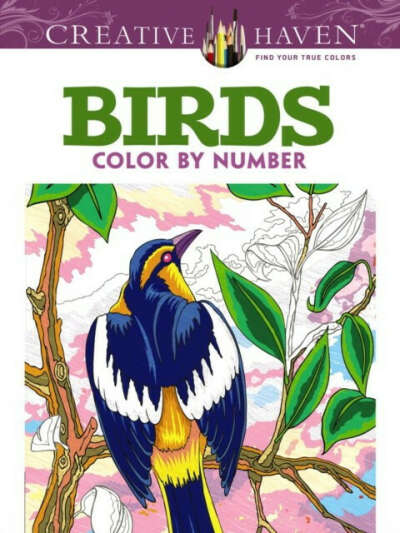 Раскраска по номерам Creative Haven birds