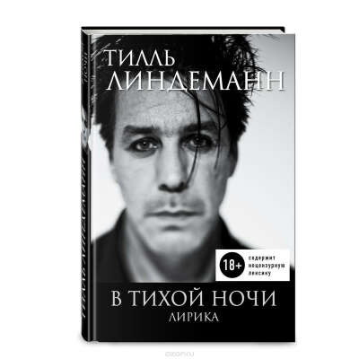 В тихой ночи. Лирика | Линдеманн Тилль