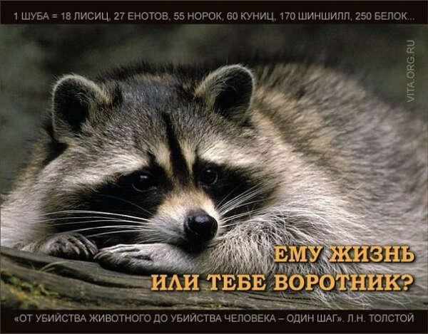 Чтобы женщины перестали одеваться в шкуры животных