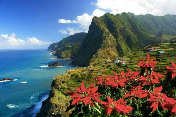 trip to Madeira