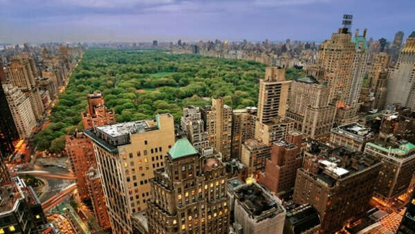 Устроить утреннюю и вечернюю пробежку вокруг Central Park