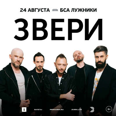 2 билета на Зверей в Лужниках в ФАН ЗОНУ