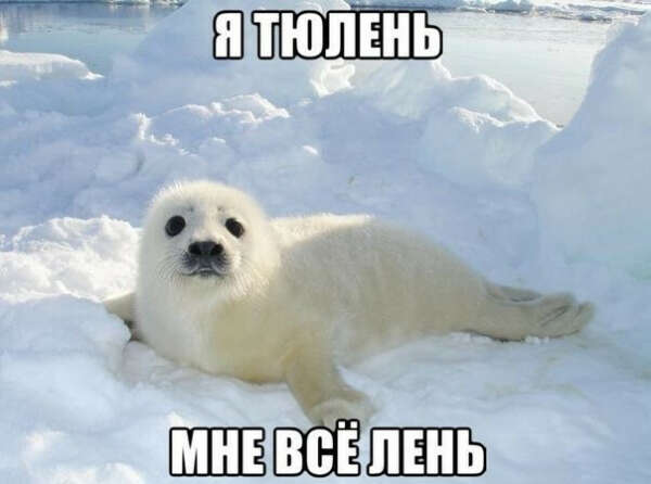 Хочу меньше лениться :D