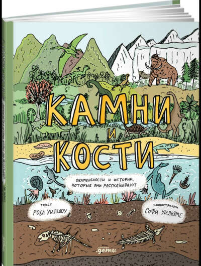 Камни и кости : Окаменелости и истории