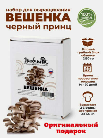 Набор для выращивания "Вешенка "Черный принц"