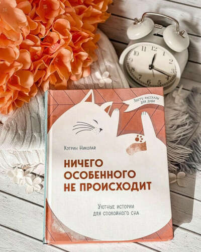 Ничего особенного не происходит. Уютные истории для спокойного сна | Николай Кэтрин