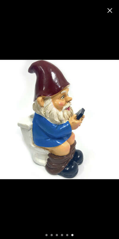 Toilet gnome