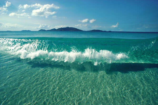 To swim in ocean