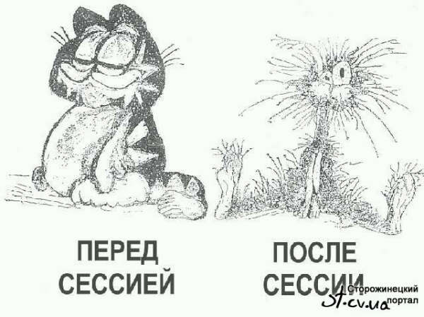 Сдать сессию!