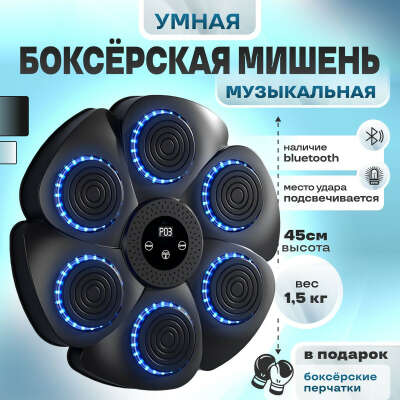 Боксерская мишень