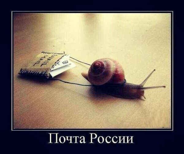 Хочу что бы "Почта России" была быстрее!!!))