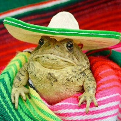 кофта