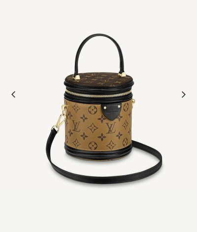Сумка Louis Vuitton CANNES