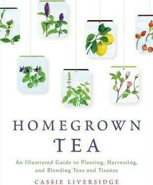 Homegrown Tea