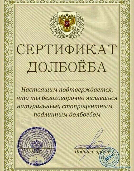 Сертификатик на фанфичек