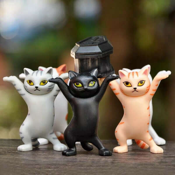 котики с гробом