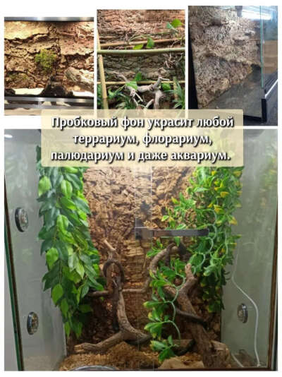 Фон для террариума 60х40